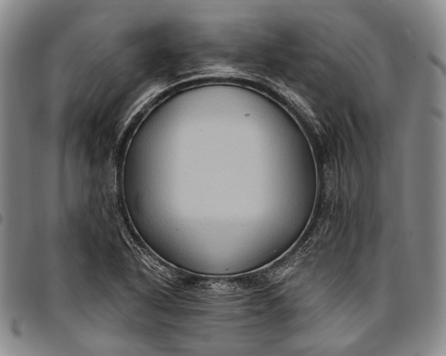 X0000096681318200802191343
