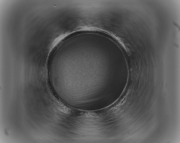 X0000096681319200802191343