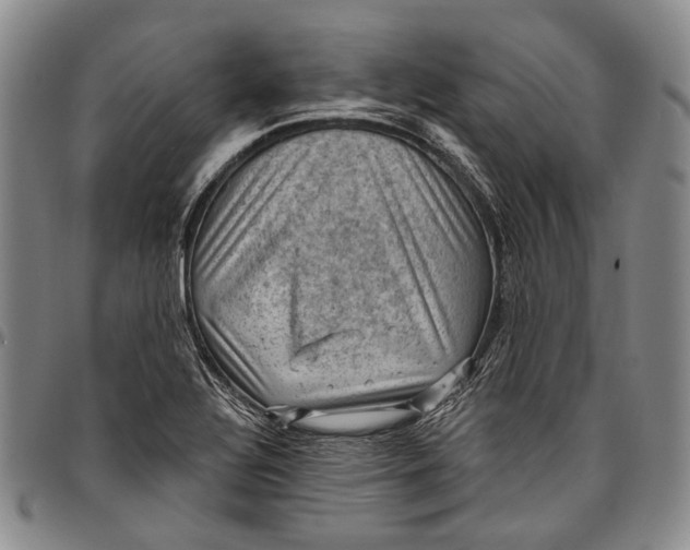 X0000096681320200802191343