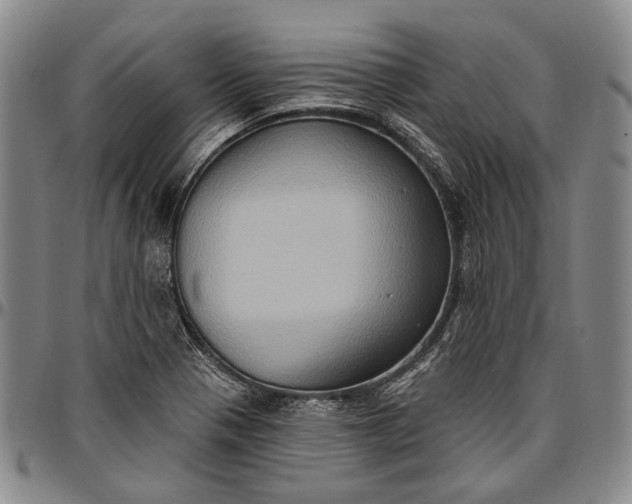 X0000096681321200802191343