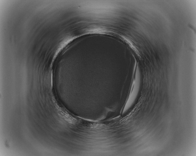 X0000096681323200802191343