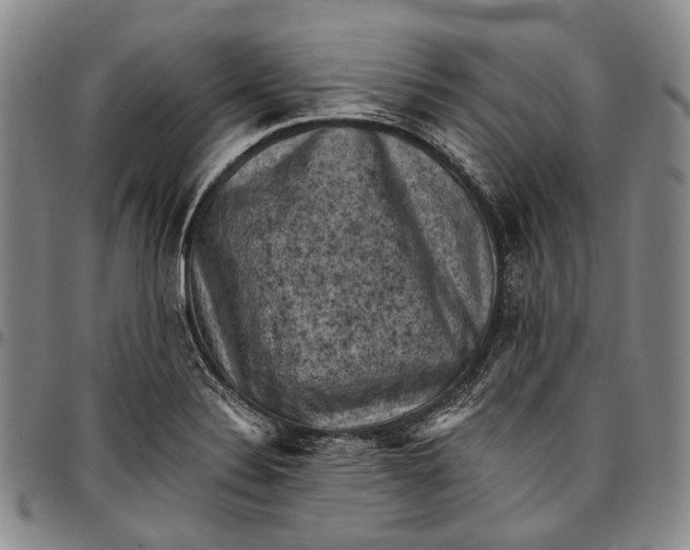 X0000096681324200802191343