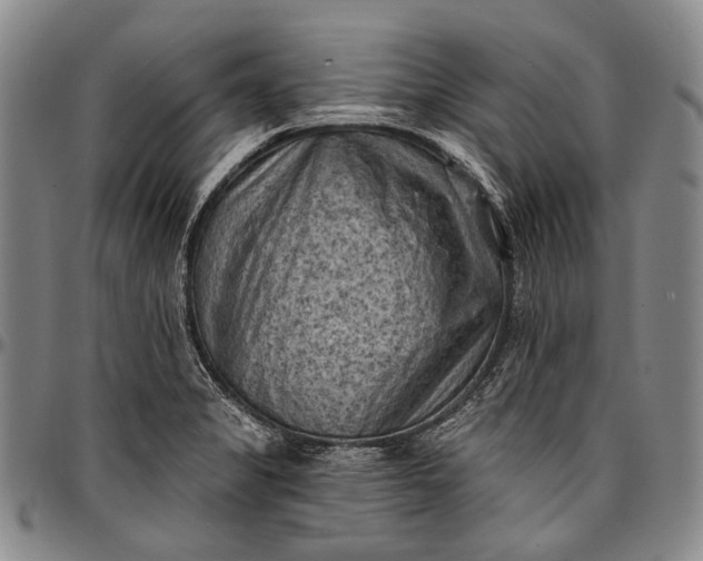 X0000096681325200802191343