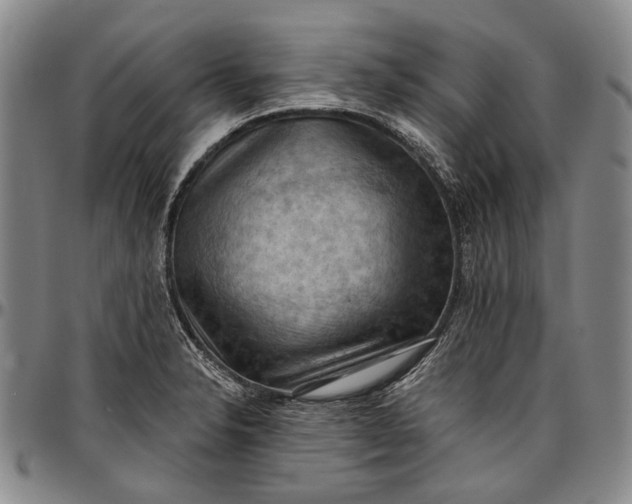 X0000096681326200802191343