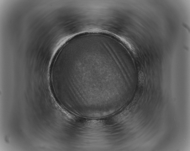X0000096681327200802191343