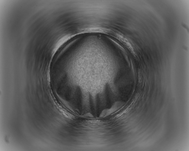 X0000096681328200802191343