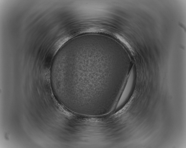 X0000096681329200802191343