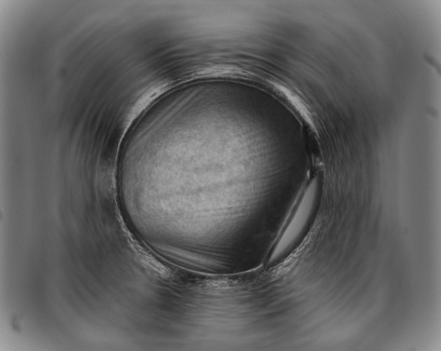 X0000096681330200802191343
