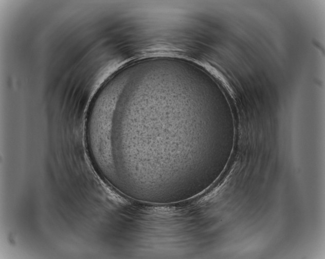 X0000096681333200802191344