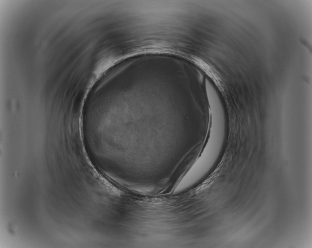X0000096681334200802191344