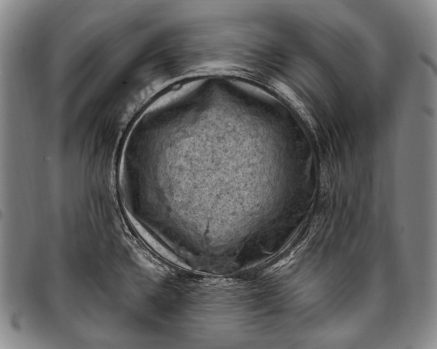 X0000096681336200802191344