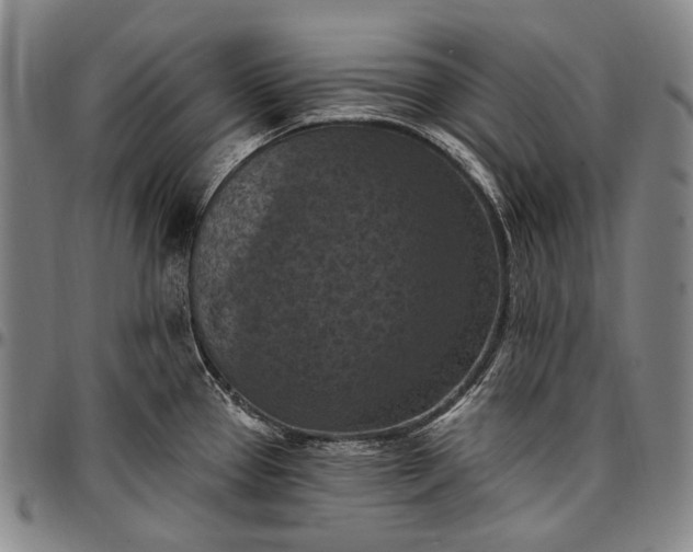 X0000096681337200802191344