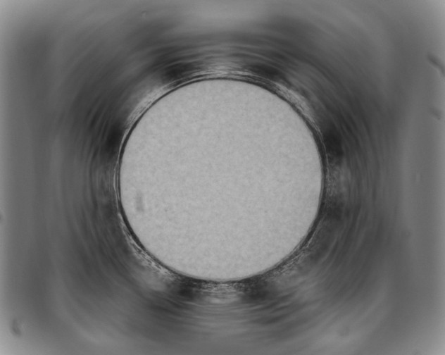 X0000096681338200802191344