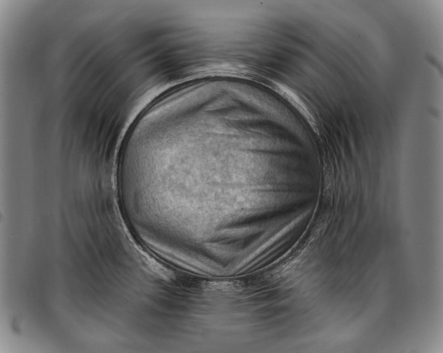 X0000096681339200802191344