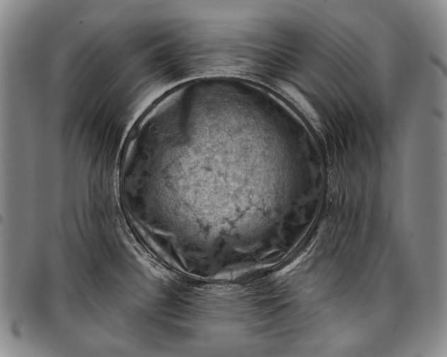 X0000096681340200802191344