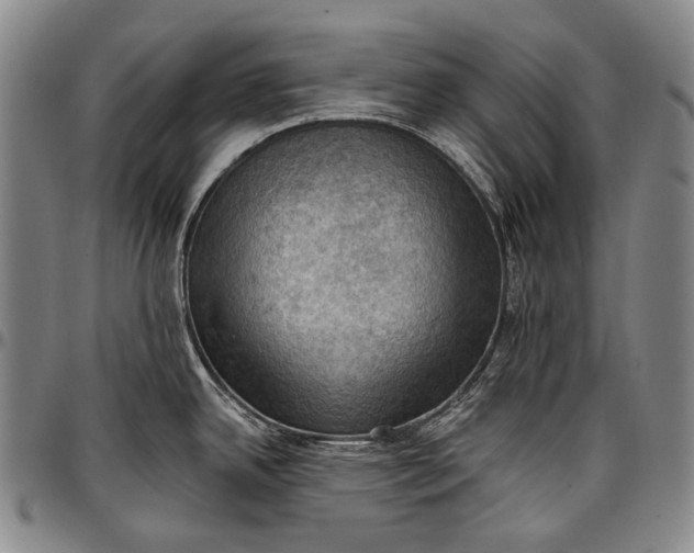 X0000096681342200802191344