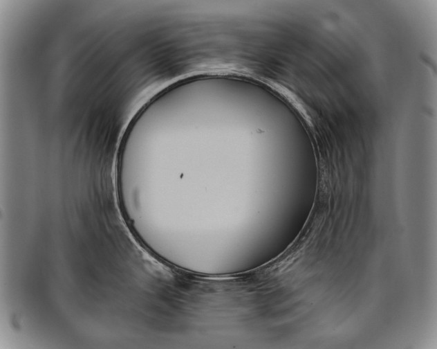 X0000096681343200802191344