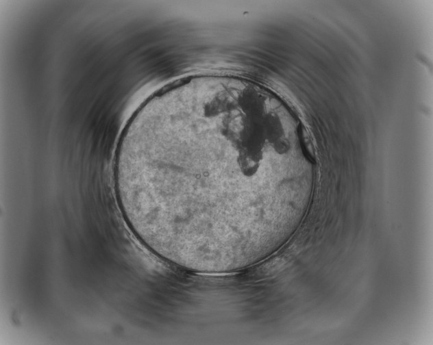 X0000096681344200802191344