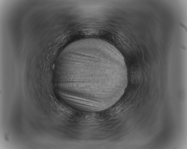 X0000096681345200802191343