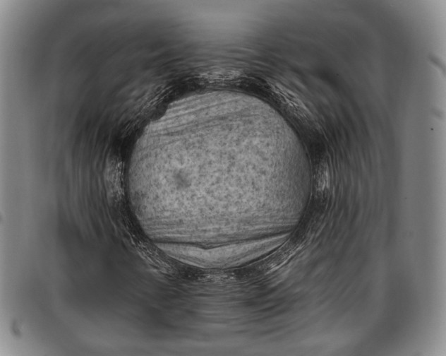 X0000096681346200802191343