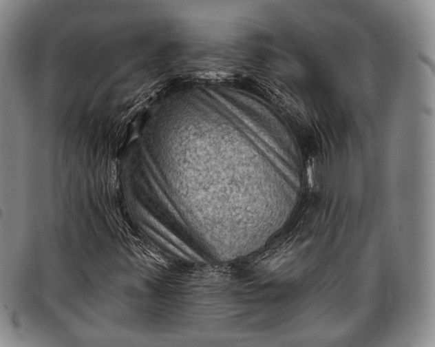 X0000096681347200802191343