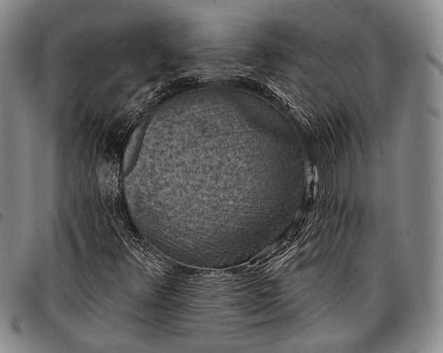 X0000096681348200802191343