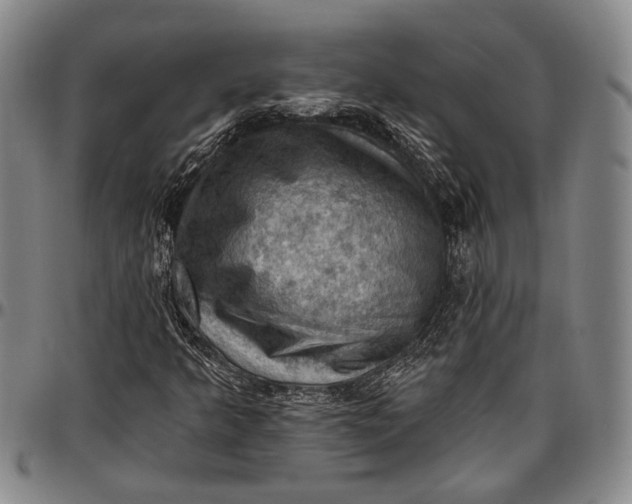 X0000096681349200802191343