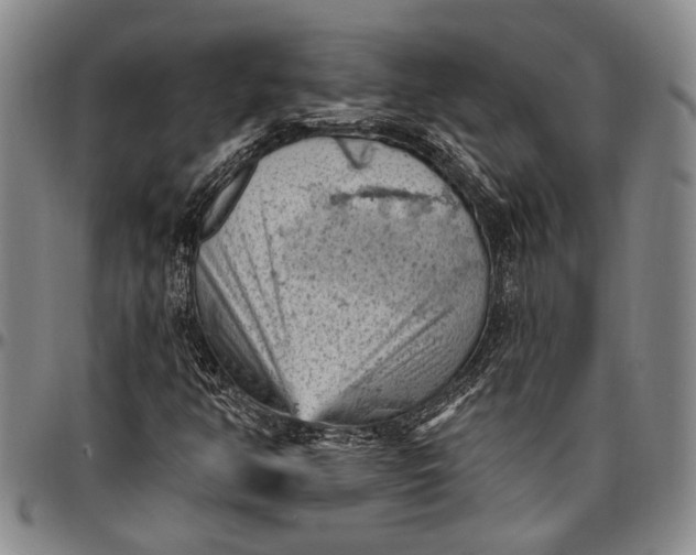 X0000096681350200802191343