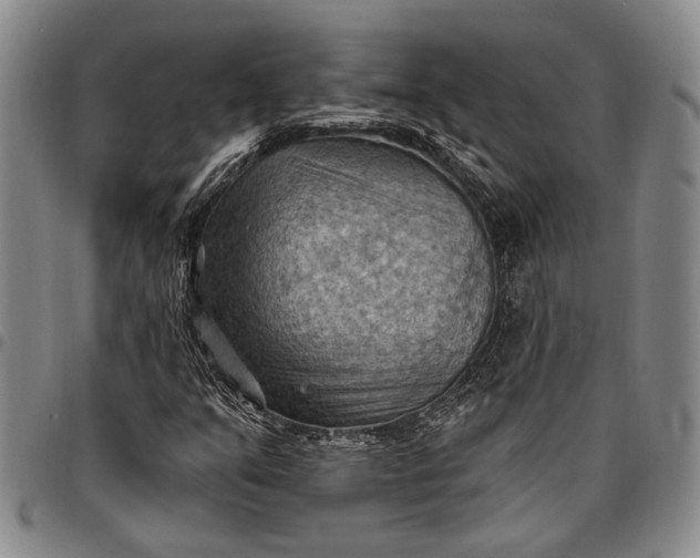 X0000096681351200802191343