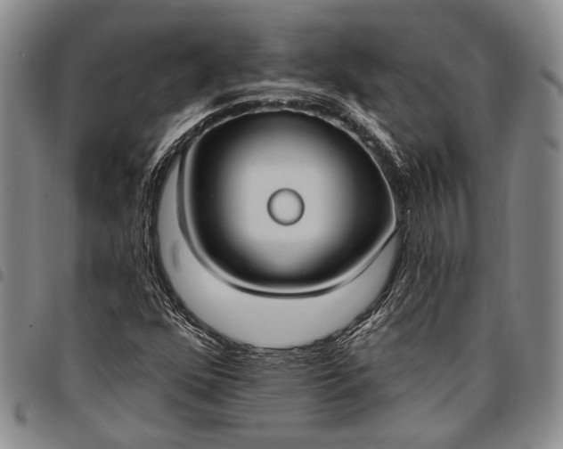 X0000096681352200802191343