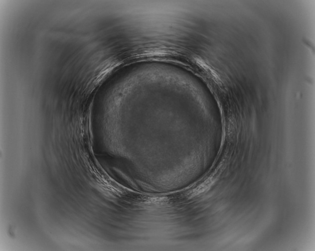 X0000096681353200802191343