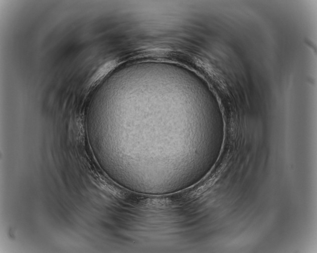 X0000096681354200802191343