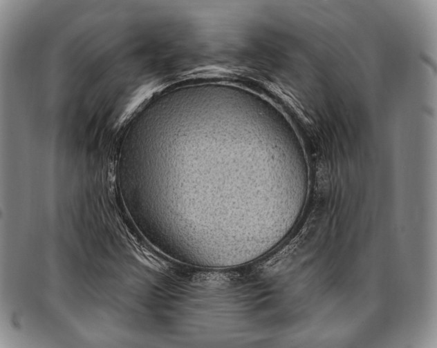 X0000096681355200802191343