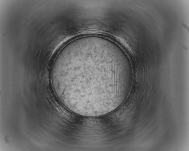 X0000096681356200802191343