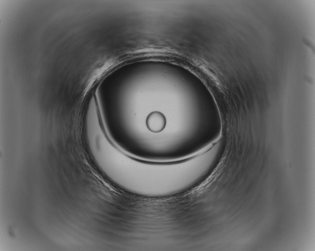 X0000096681357200802191343