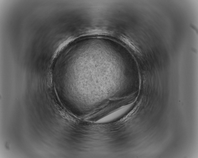X0000096681358200802191343
