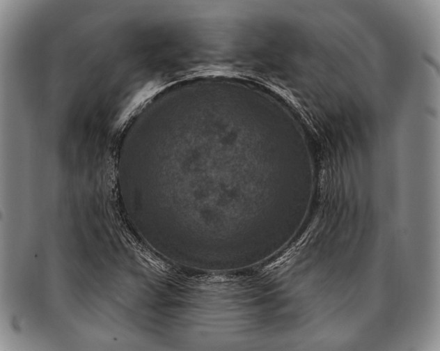 X0000096681359200802191343