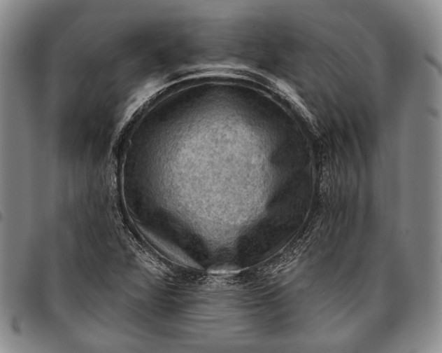 X0000096681360200802191343