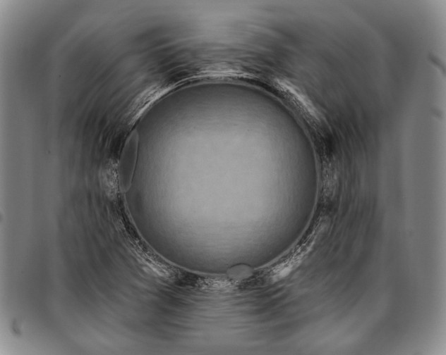 X0000096681361200802191343