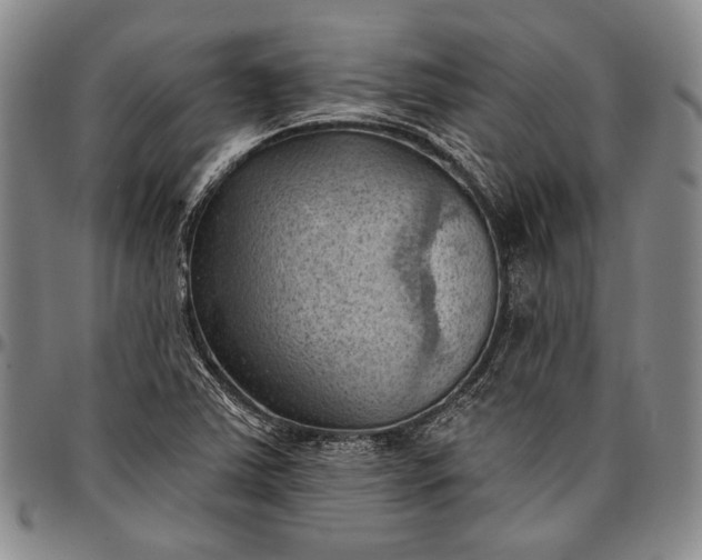 X0000096681363200802191343