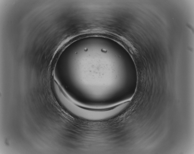 X0000096681364200802191343