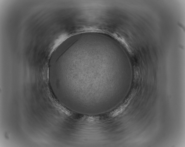 X0000096681365200802191343