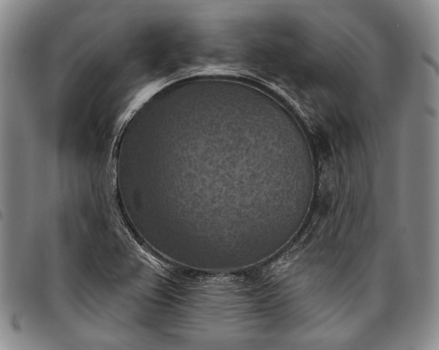 X0000096681367200802191343