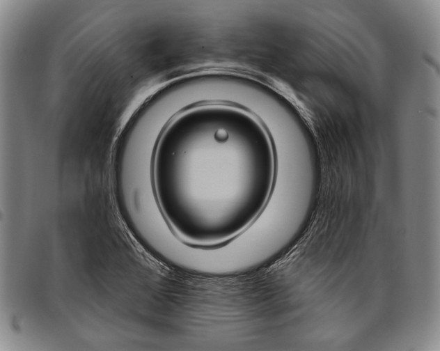 X0000096681368200802191343