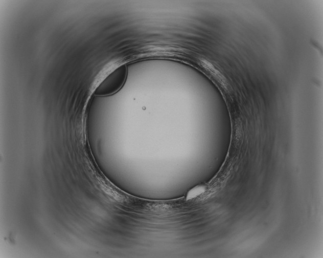 X0000096681370200802191343