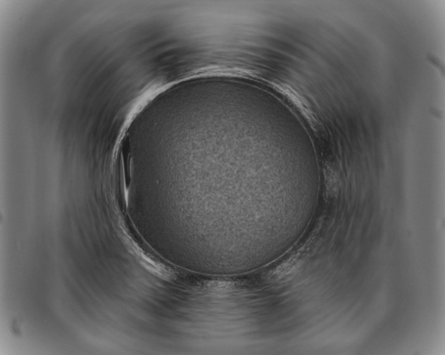 X0000096681371200802191342