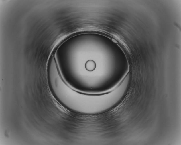 X0000096681372200802191342