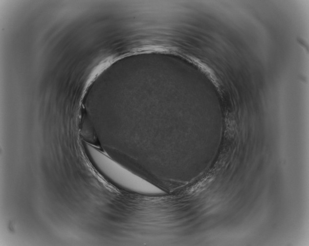 X0000096681373200802191342