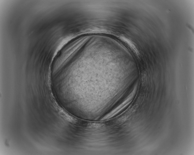 X0000096681374200802191342