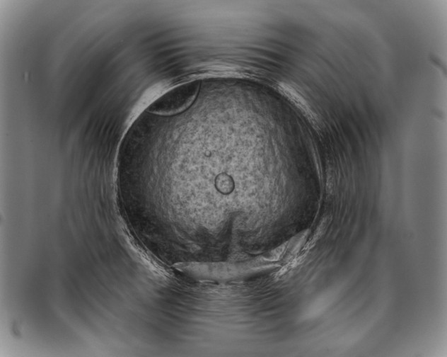 X0000096681378200802191342
